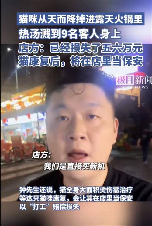 2025年5月 第64页