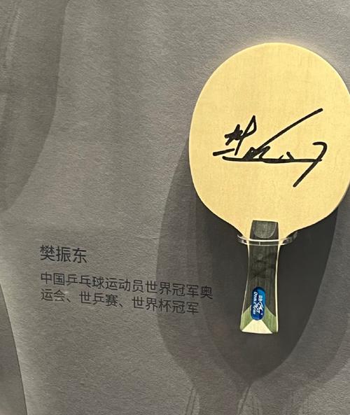 樊振东给孙颖莎签名,樊振东给孙颖莎签名是什么时候